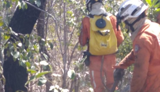 Mais um incêndio em vegetação é registrado na Bahia; bombeiros monitoram outros oito focos