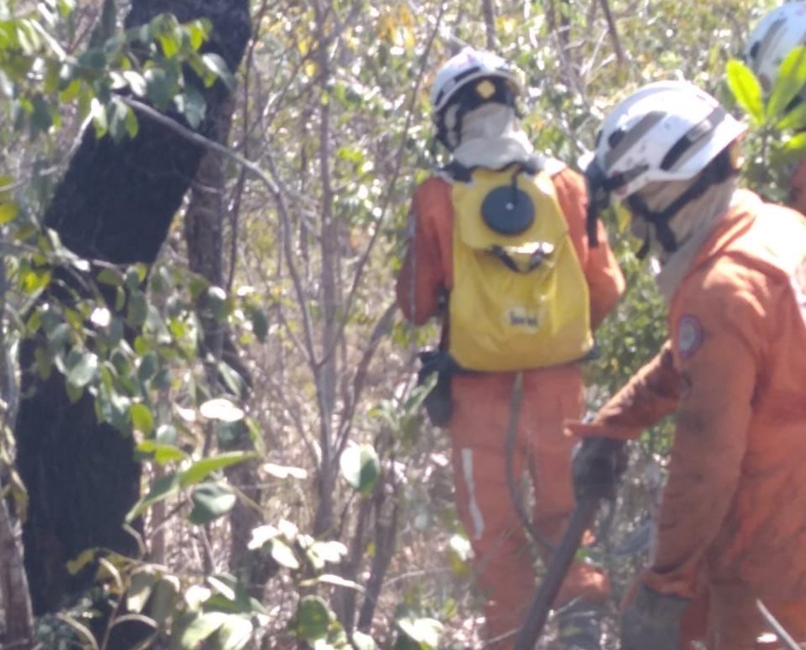 Mais um incêndio em vegetação é registrado na Bahia; bombeiros monitoram outros oito focos