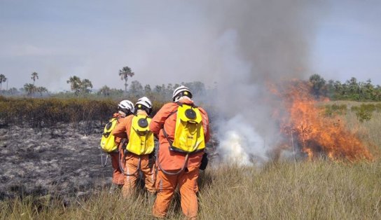 Duas aeronaves são enviadas como reforços no combate a incêndios florestais no interior da Bahia