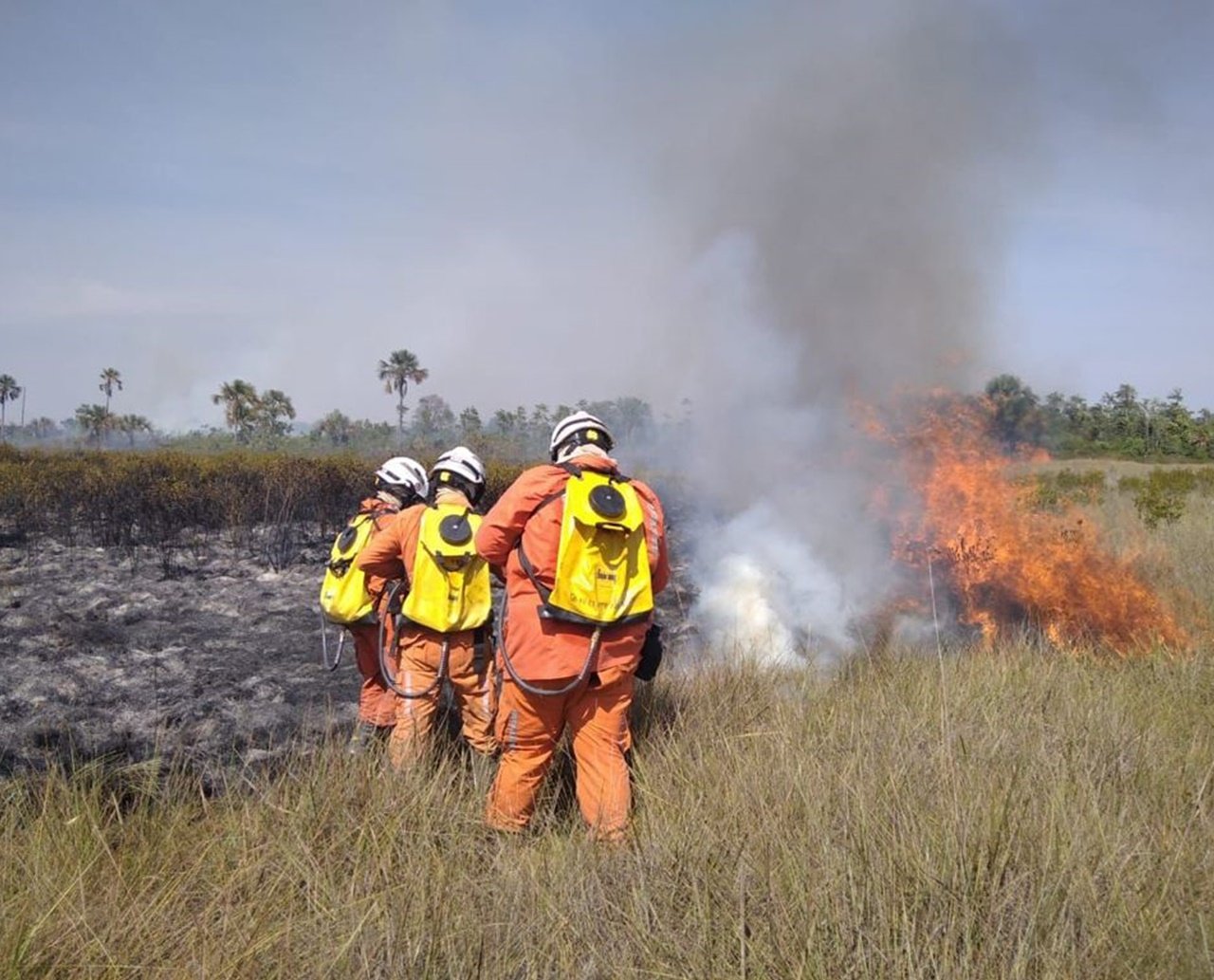 Duas aeronaves são enviadas como reforços no combate a incêndios florestais no interior da Bahia