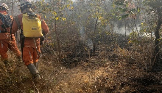 Incêndio na Bahia: aeronaves são remanejadas de Lençóis para Uibaí na tentativa de debelar fogo na região