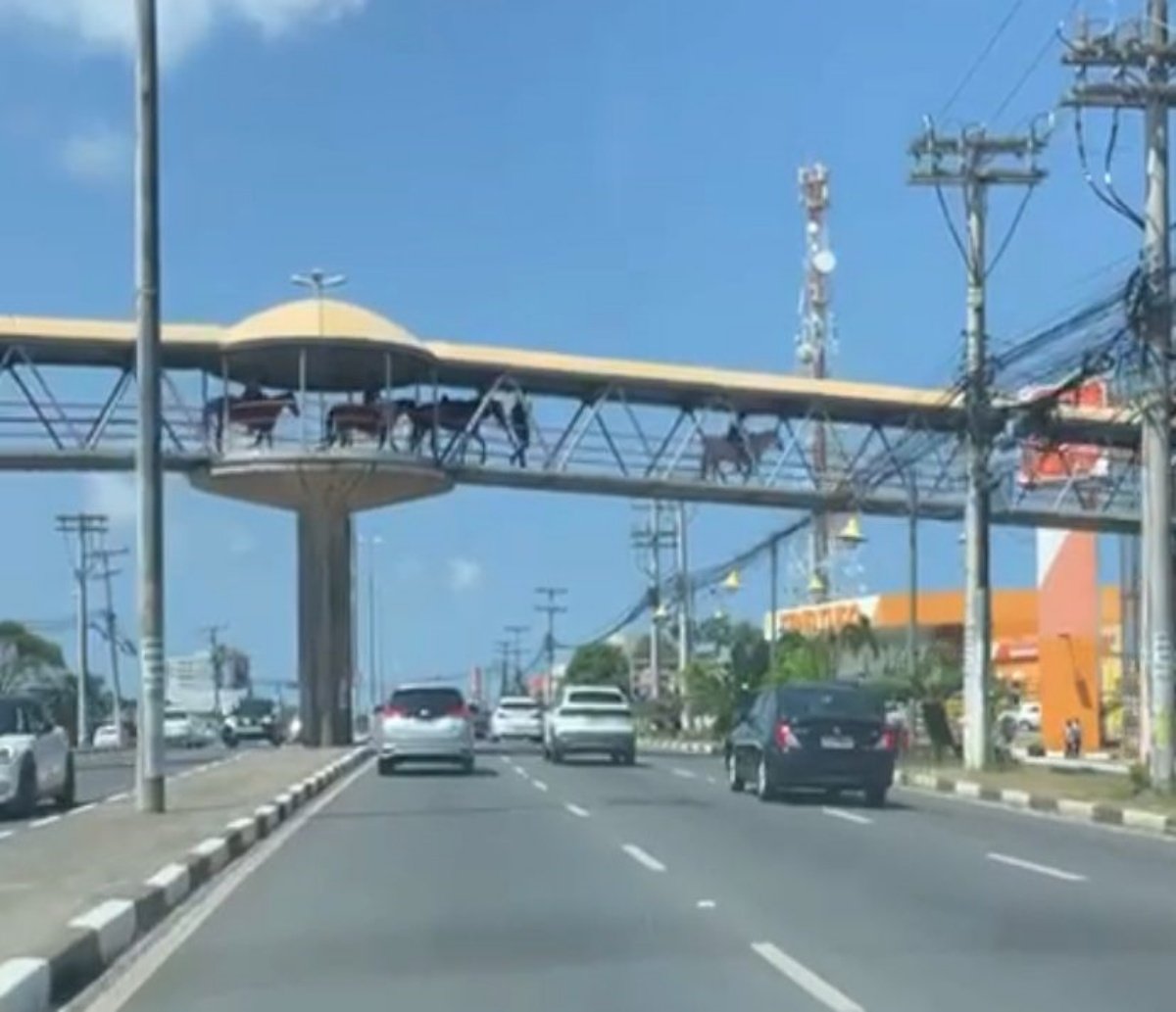 A passarela tá diferente! Cavalos são vistos atravessando a passarela da Estação Mussurunga