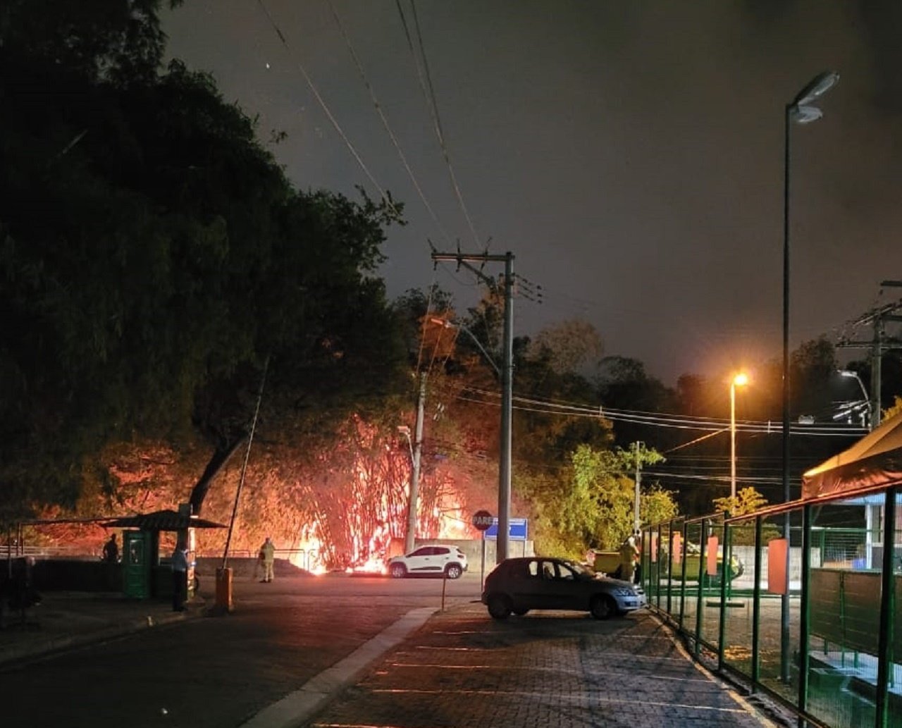 Incêndio atinge trecho de bambuzal na região do Aeroporto de Salvador e reforça degradação local