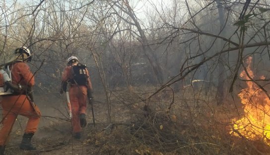 Corpo de Bombeiros faz balanço das ações de combate aos incêndios florestais na Bahia; confira 