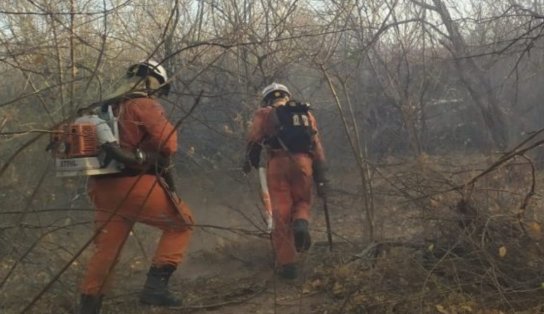 Pelo menos 15 cidades do interior relatam incêndios; confira boletim