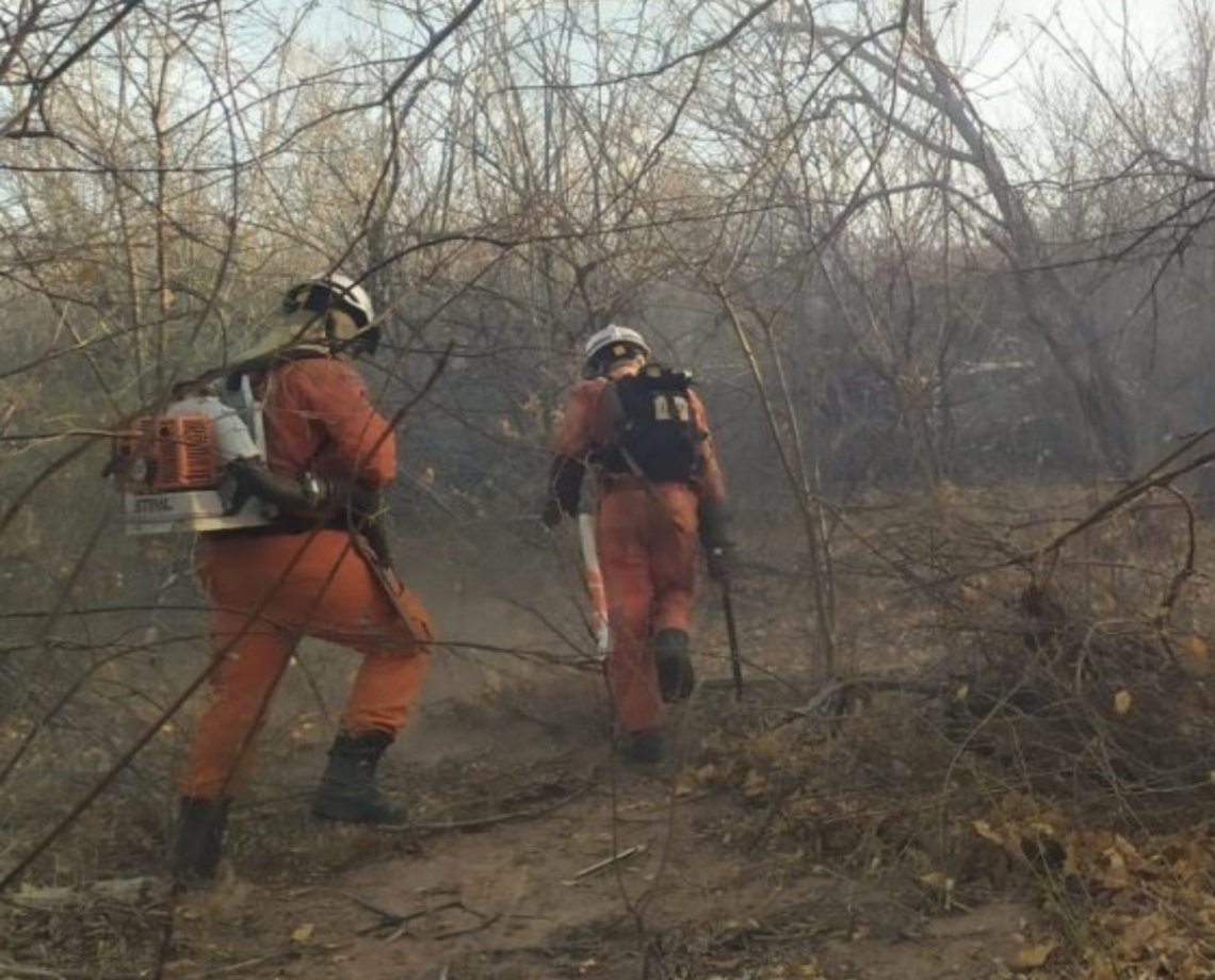 Pelo menos 15 cidades do interior relatam incêndios; confira boletim