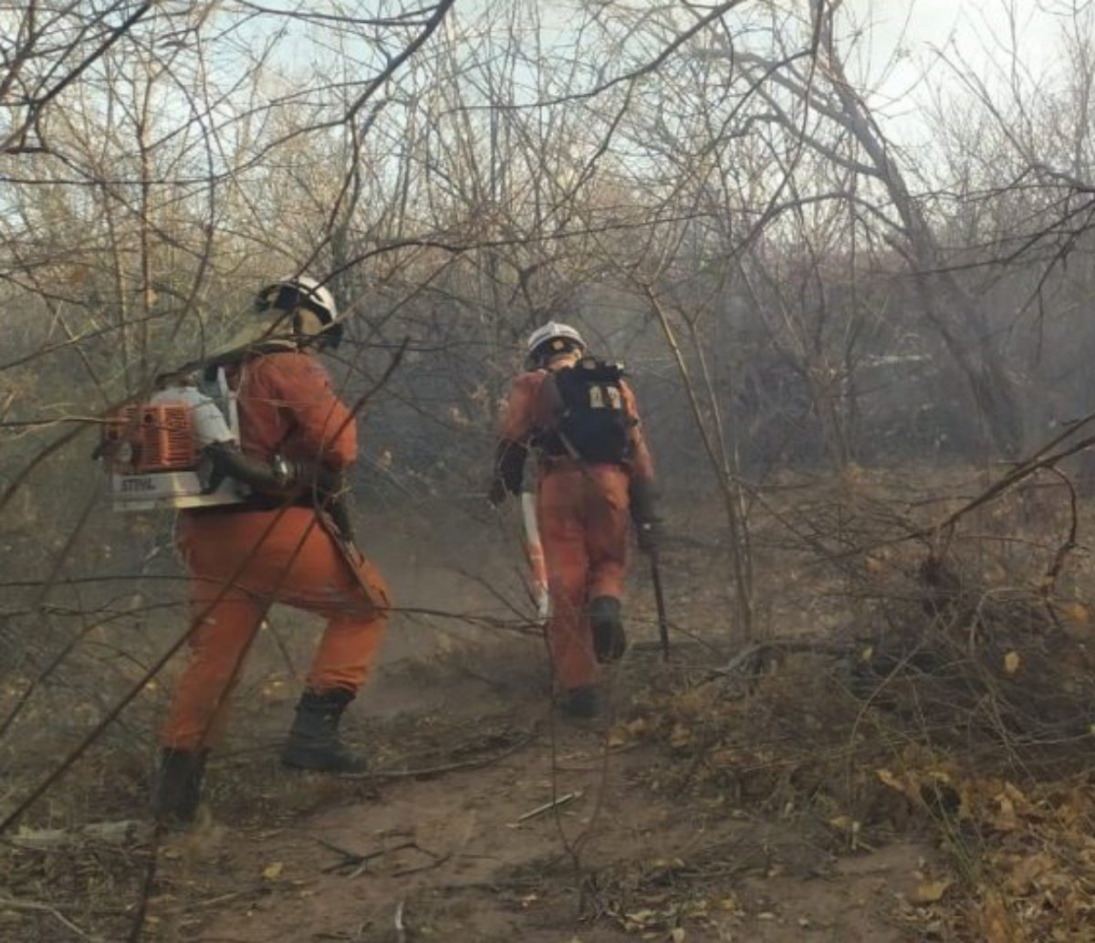 Pelo menos 15 cidades do interior relatam incêndios; confira boletim