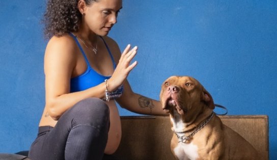 E se seu cãozinho for um atleta? Descubra em evento de Crossfit especializado para cachorros