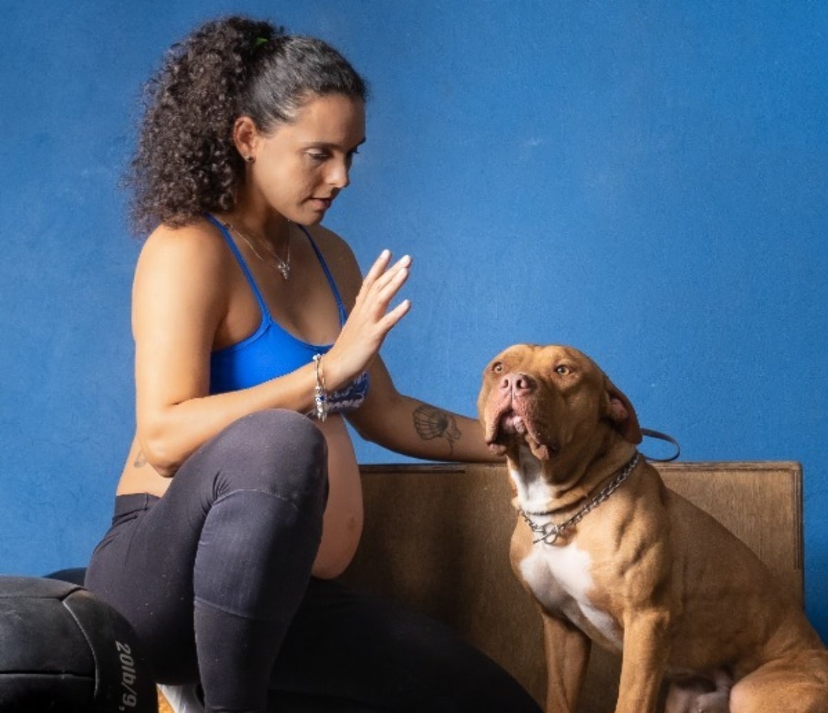 E se seu cãozinho for um atleta? Descubra em evento de Crossfit especializado para cachorros