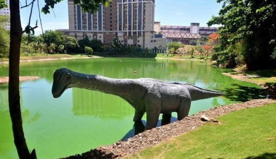 Lazer no fim de semana! Parques de Salvador voltam a abrir aos domingos 