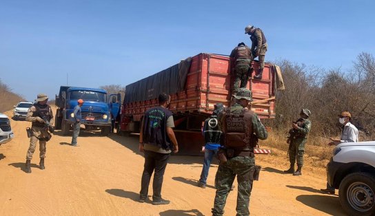 PMs interceptam carga de madeira exótica avaliada em R$ 200 mil, no interior da Bahia 