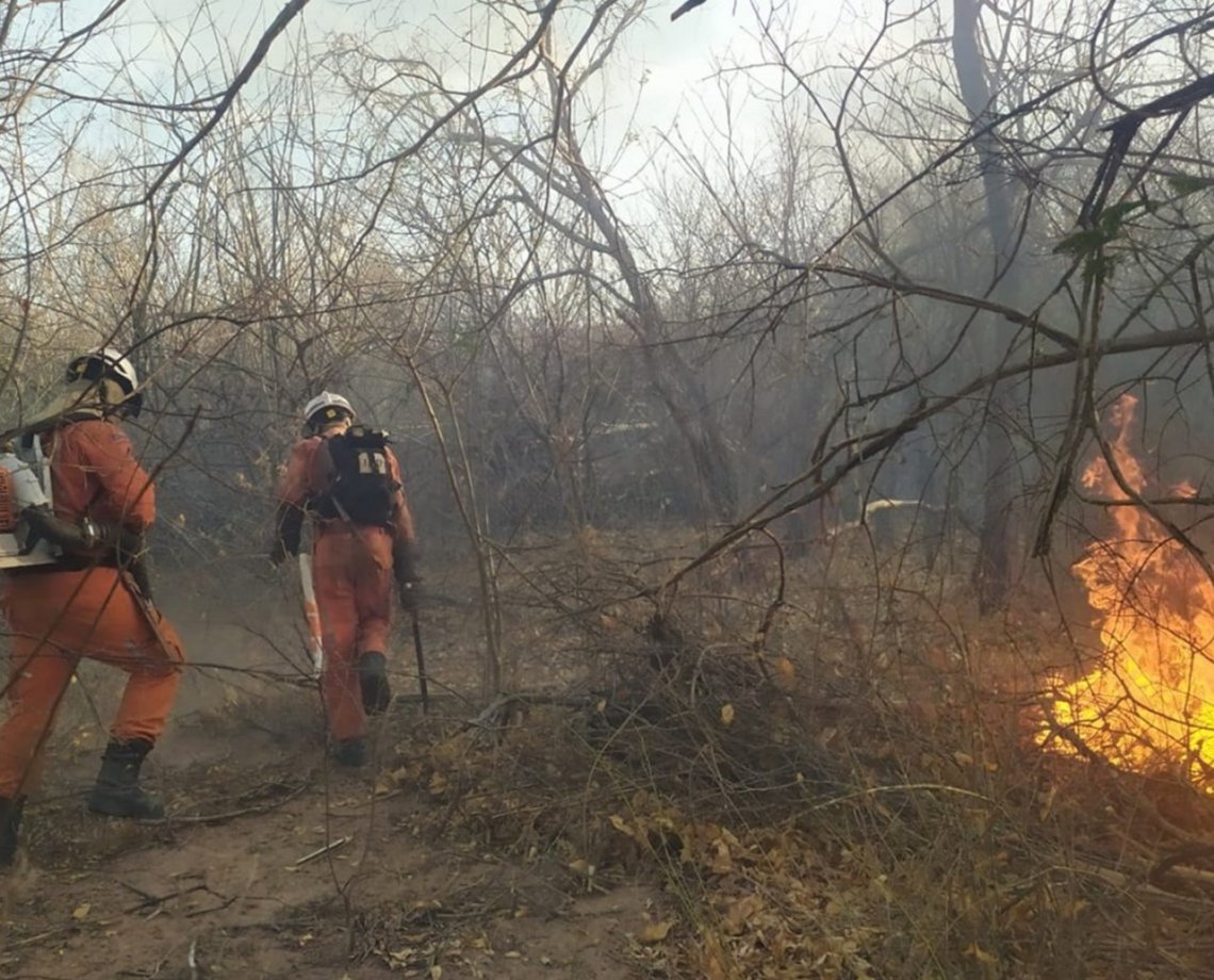 Corpo de Bombeiros faz balan&ccedil;o das a&ccedil;&otilde;es de combate aos inc&ecirc;ndios florestais na Bahia