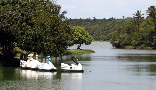 Governo da Bahia fecha parceria com BNDES para viabilizar concessão do Parque de Pituaçu à iniciativa privada