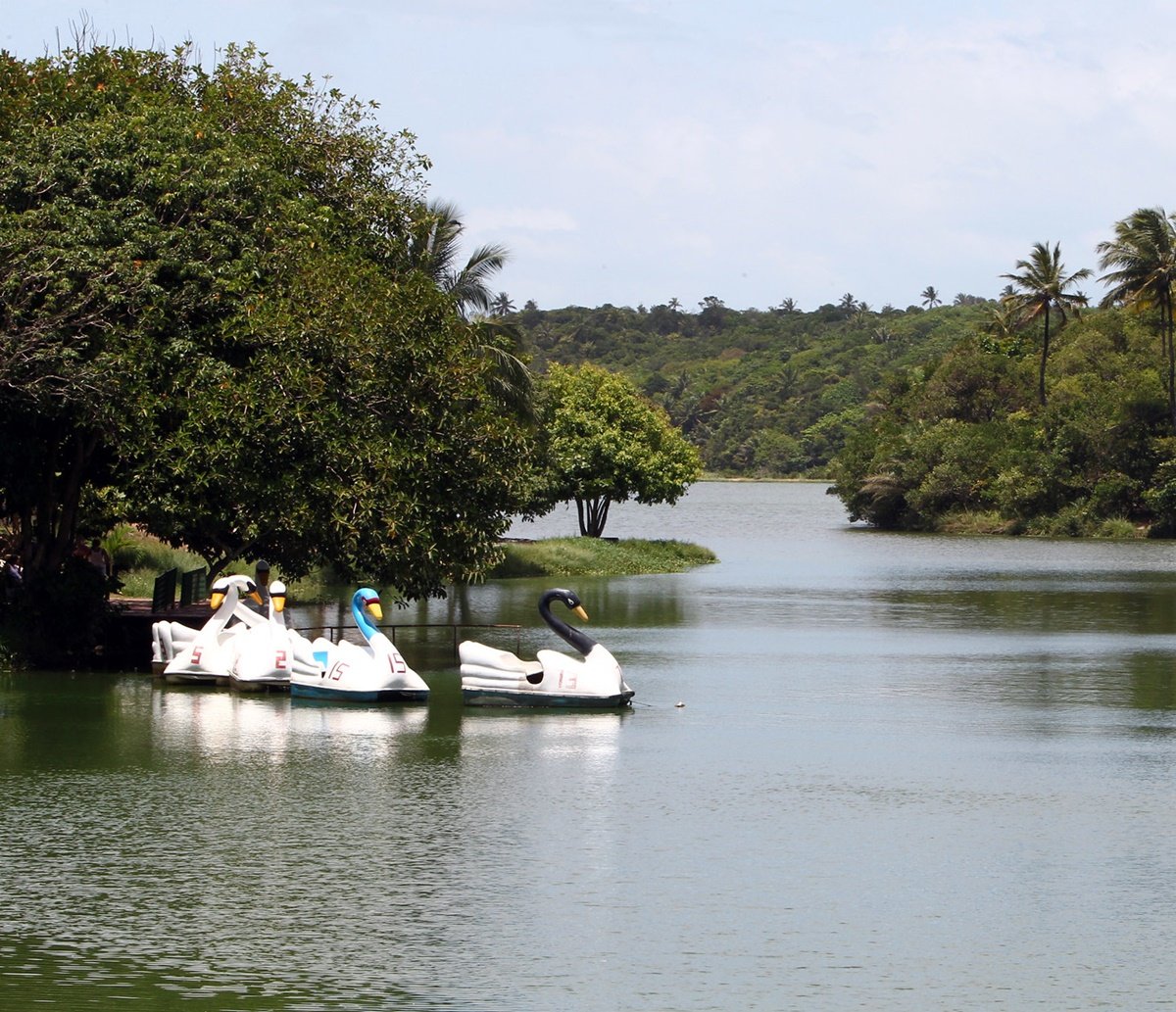 Governo da Bahia fecha parceria com BNDES para viabilizar concessão do Parque de Pituaçu à iniciativa privada