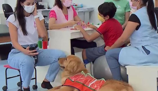 Cuidado sobre quatro patas: conheça Simon, o cão terapeuta da Santa Casa de Jequié