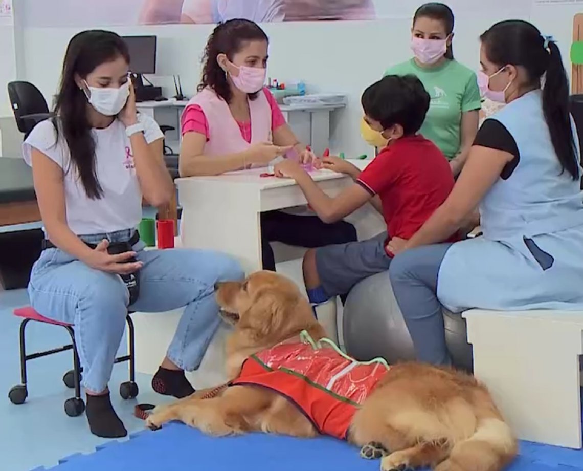 Cuidado sobre quatro patas: conheça Simon, o cão terapeuta da Santa Casa de Jequié