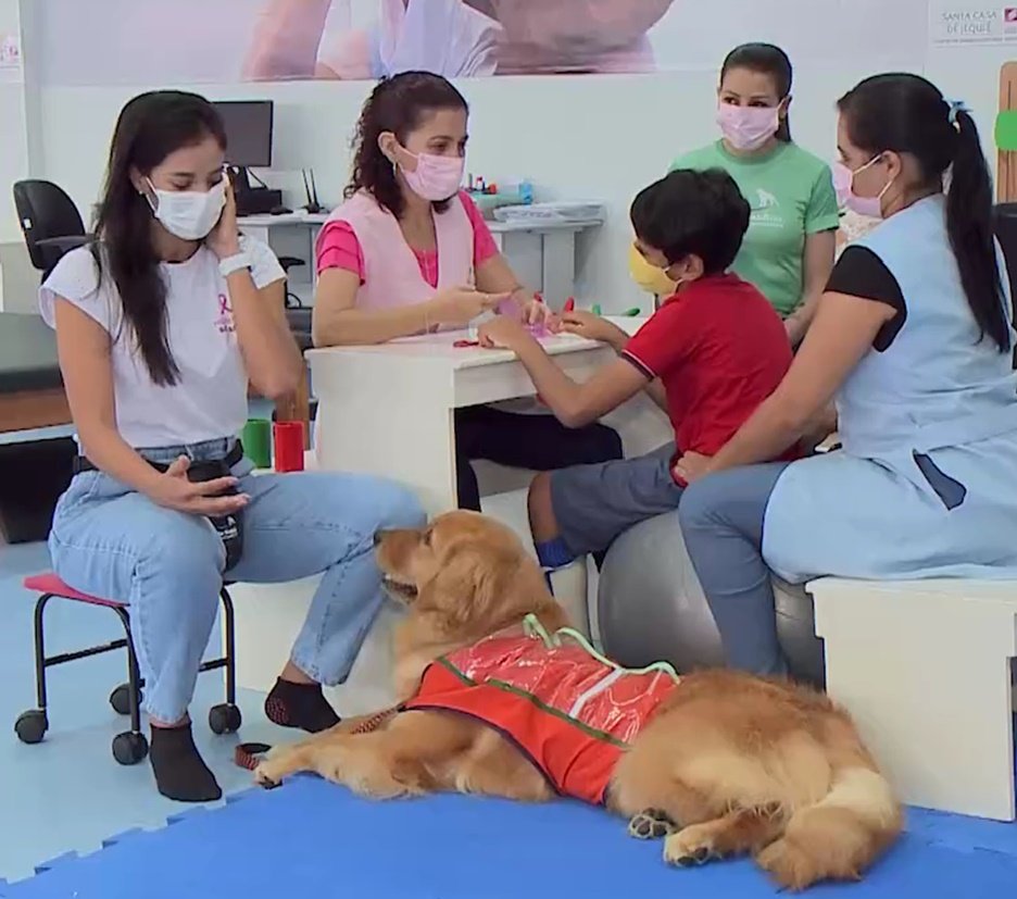 Cuidado sobre quatro patas: conheça Simon, o cão terapeuta da Santa Casa de Jequié