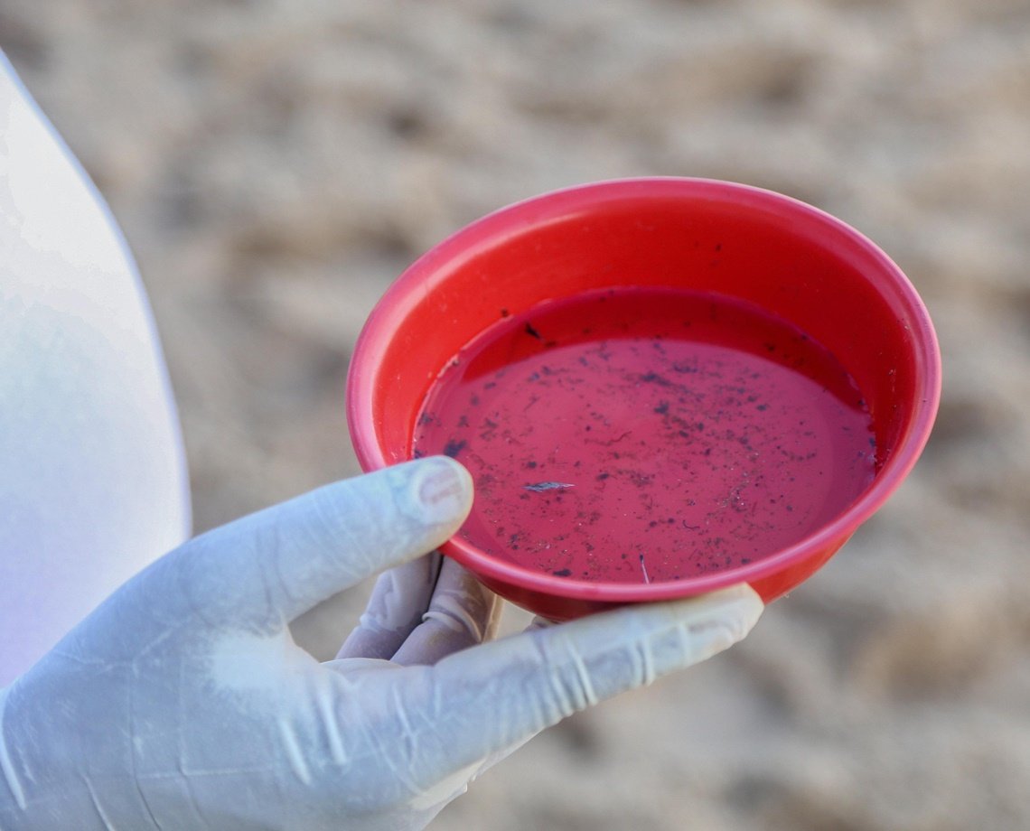 Xô, mosquito! Após pausa devido à pandemia, agentes de endemias retomam visitação em Salvador