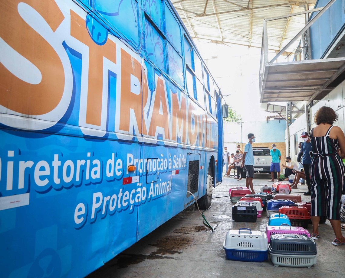 Castramóvel oferece vacina antirrábica em Pau da Lima até sexta