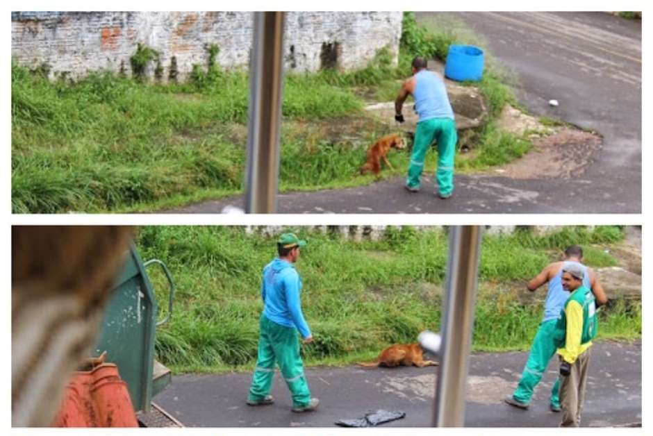 Lixeiro mata cão ferido em triturador de caminhão