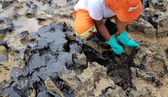 Óleo que atingiu praias do Nordeste veio de petroleiro grego, diz Polícia Federal