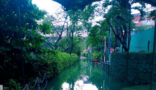 Inundado pela intensidade da chuva que cai em Salvador, Parque Lagoa dos Dinossauros está interditado