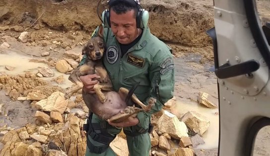 Oito pessoas e três cachorros são resgatados por helicóptero dos bombeiros após ficarem ilhados em Iguaí