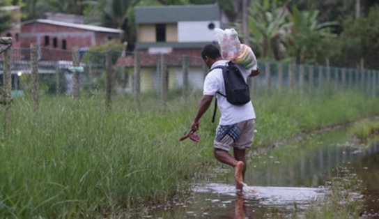 Governo do Estado cria conta bancária para doações às cidades afetadas pela chuva na Bahia