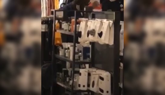 Loja Zara do Shopping da Bahia é acusada de racismo após mandar abordar cliente negro; vídeo 