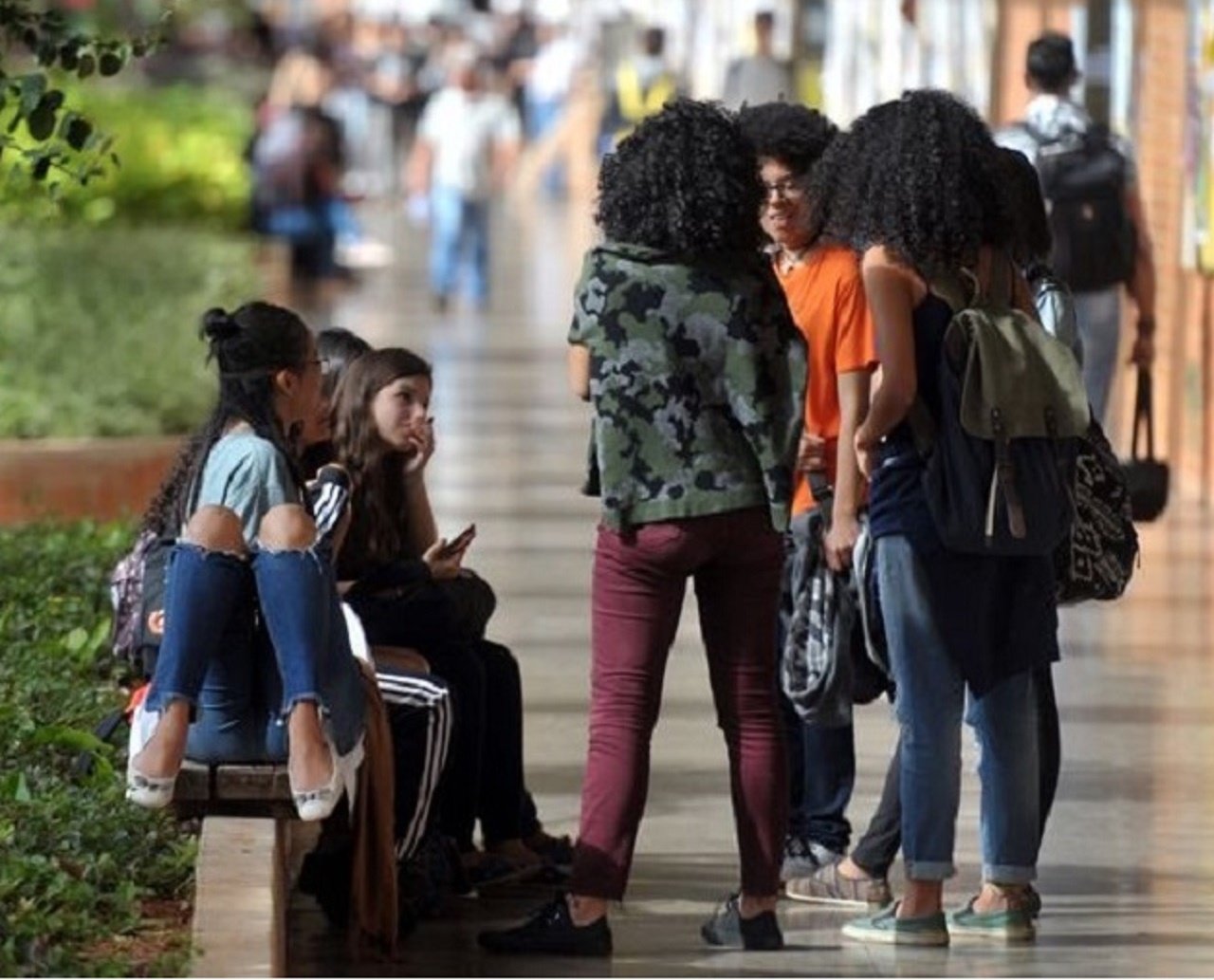 Renegociação do Fies pode atender mais de 1 milhão de estudantes e  desconto chega até 92% da dívida; saiba mais