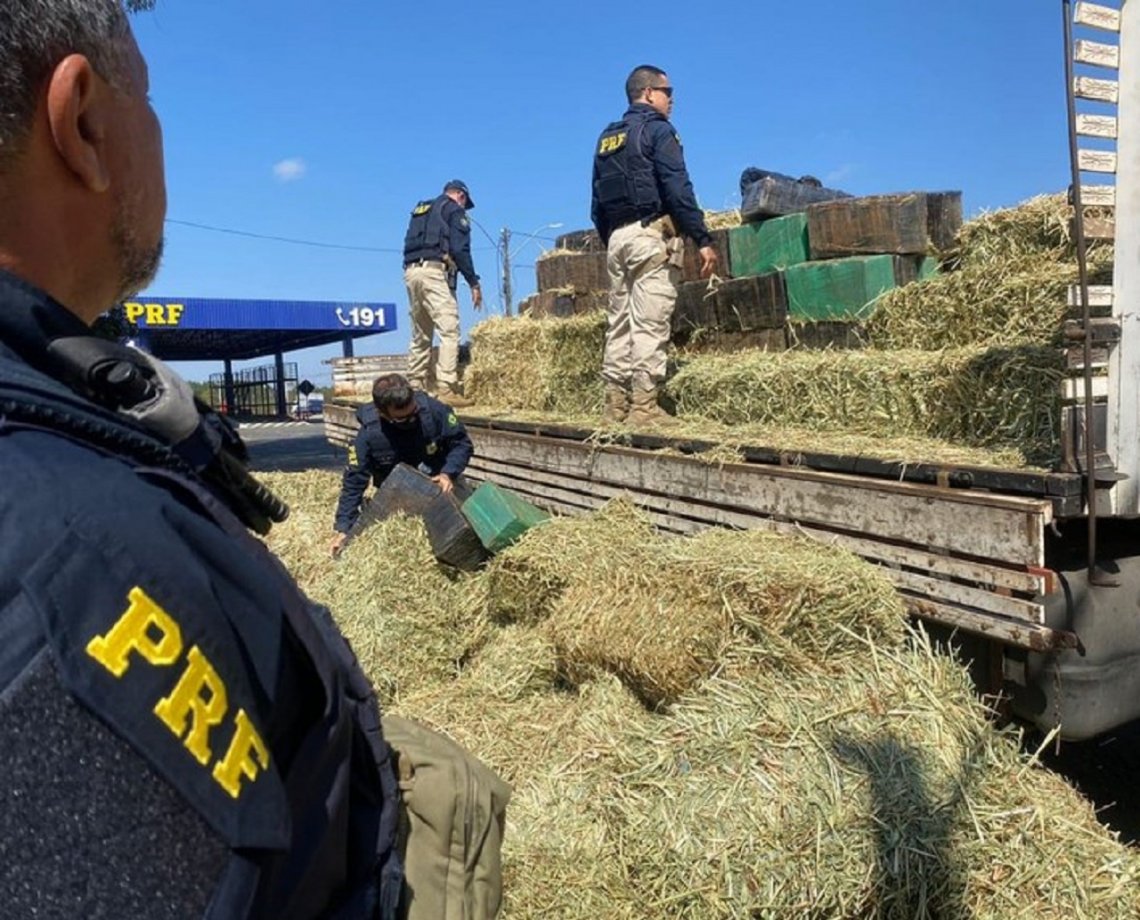 Balanço da PRF registra apreensões de mais de 14 toneladas de maconha feitas em trechos baianos de rodovias em 2021