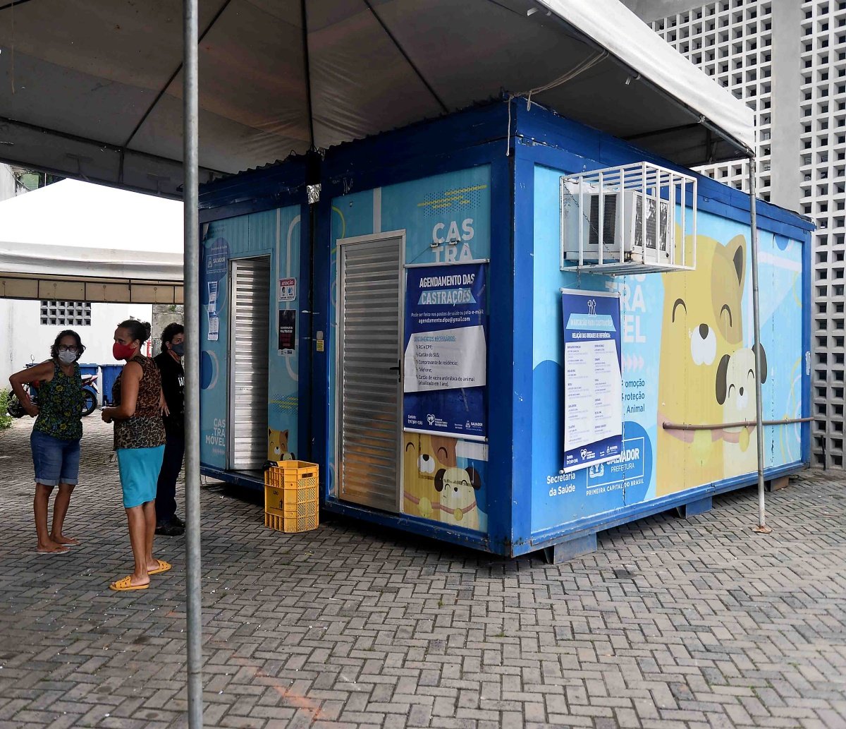 Castramóvel chega ao Centro Histórico de Salvador; confira orientações para castrar seu bichinho de estimação