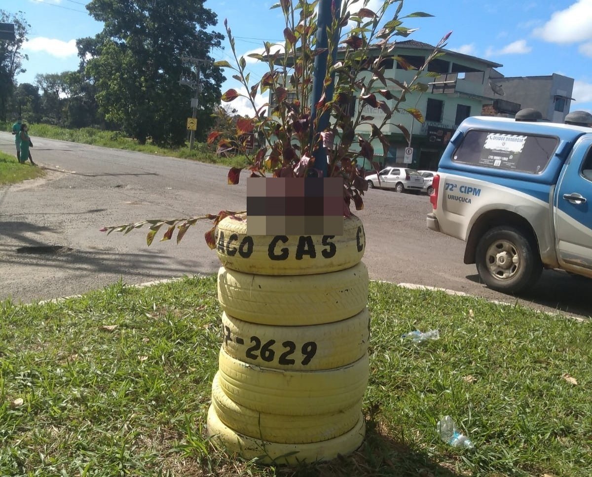 Cabeça decapitada é exposta em rodovia na Bahia; Polícia Civil investiga o caso