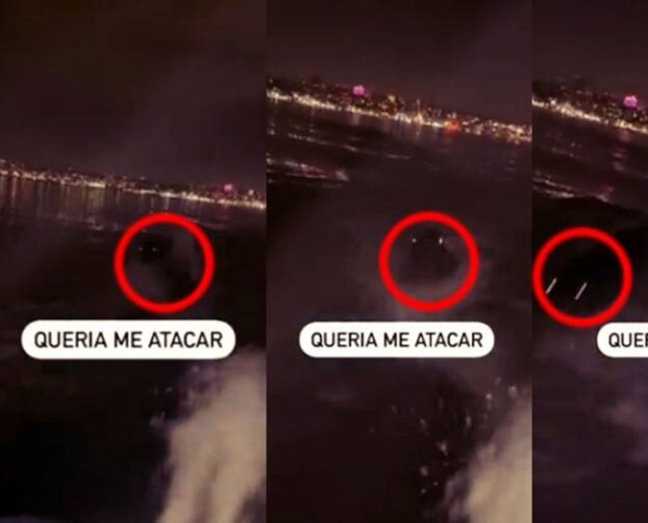 Criatura misteriosa 'persegue' homem em barco no Rio Grande do Sul: 'queria me atacar'; veja vídeo