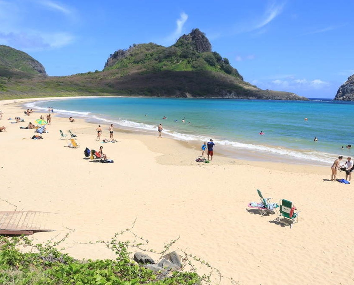 Menina de 8 anos tem perna amputada após ataque de tubarão em Fernando de Noronha