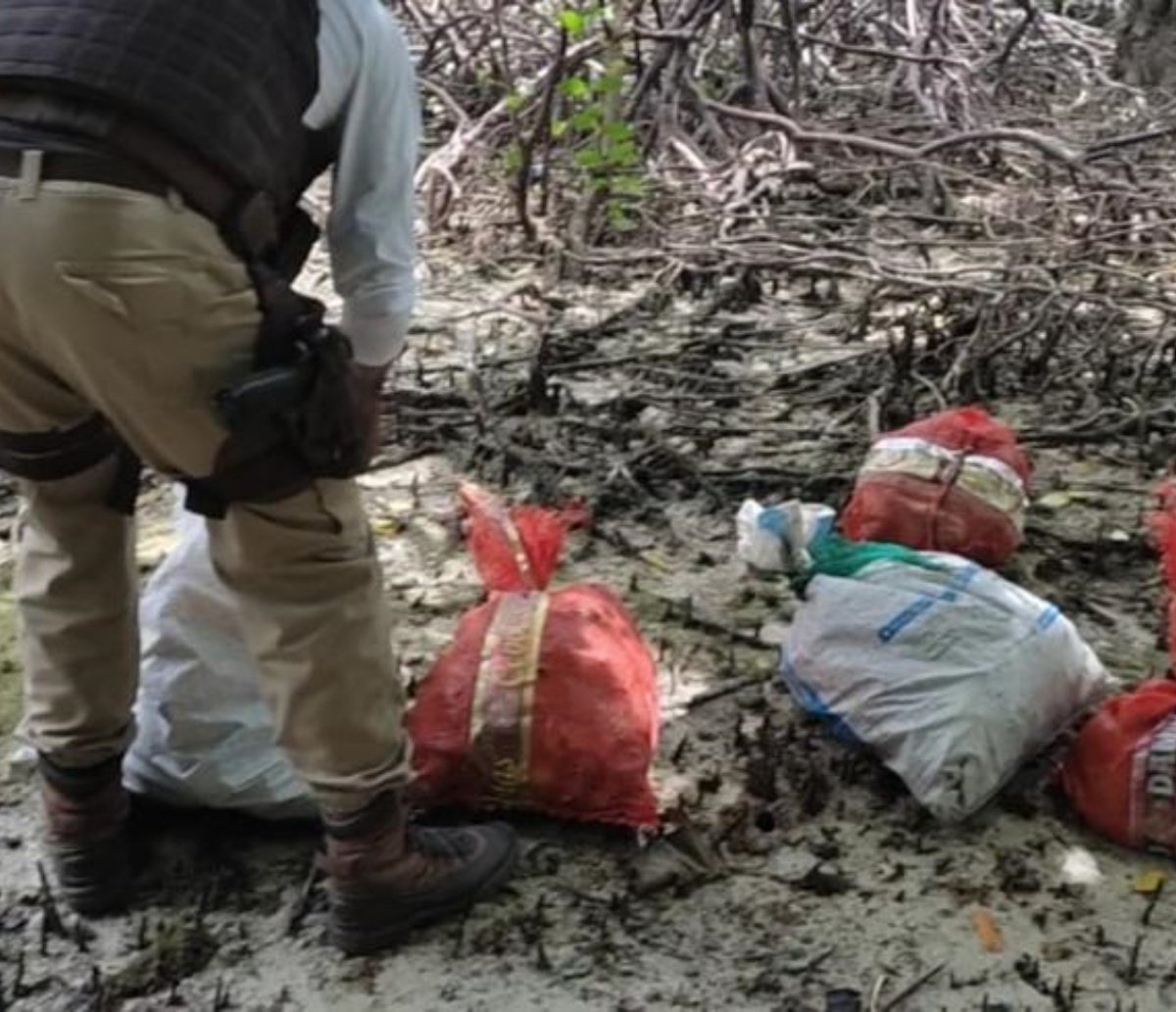 Policiais realizam resgaste de 600 caranguejos pescados em período ilegal 