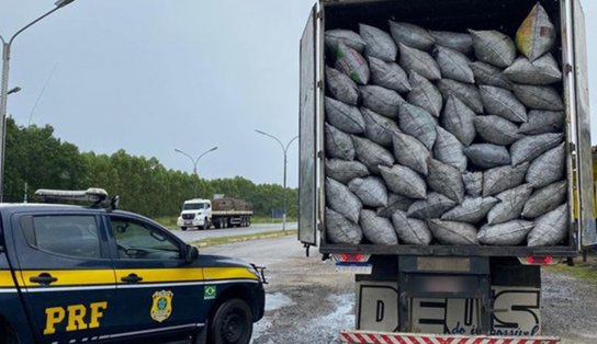 Todo errado! Sem carteira de habilitação, motorista de 18 anos é flagrado pela PF  transportando carvão vegetal sem licença