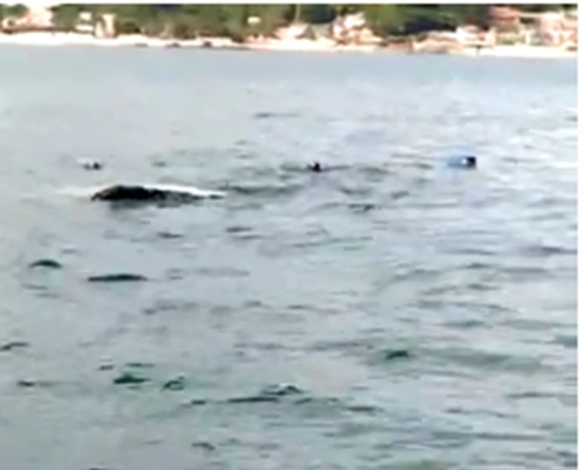 Vídeo: Barco naufraga próximo à ilha de Morro de São Paulo; pescadores encontraram embarcação revirada