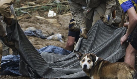 Chuva em Petrópolis já deixou mais de 100 pessoas mortas e mais de 30 desaparecidas