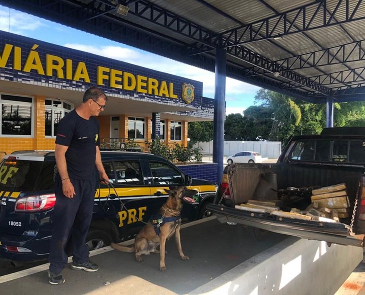 Com auxílio de cão, PRF apreende quase 65Kg de maconha na Bahia; droga foi avaliada em R$ 140 mil