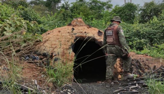 Companhia Ambiental da Polícia Militar destrói fornos e apreende carvão