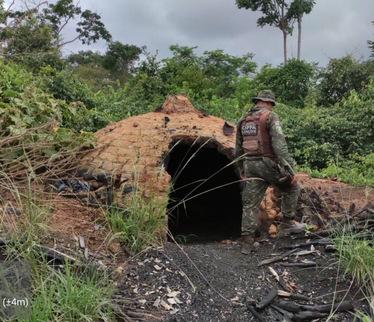 Companhia Ambiental da Polícia Militar destrói fornos e apreende carvão