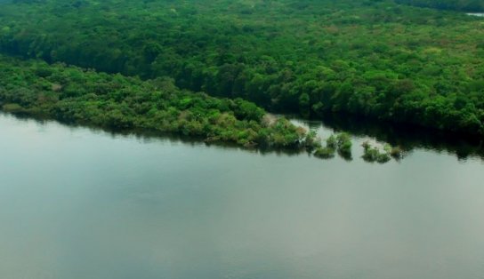 Levantamento aponta que apenas 7% dos rios da Mata Atlântica apresentam água de boa qualidade