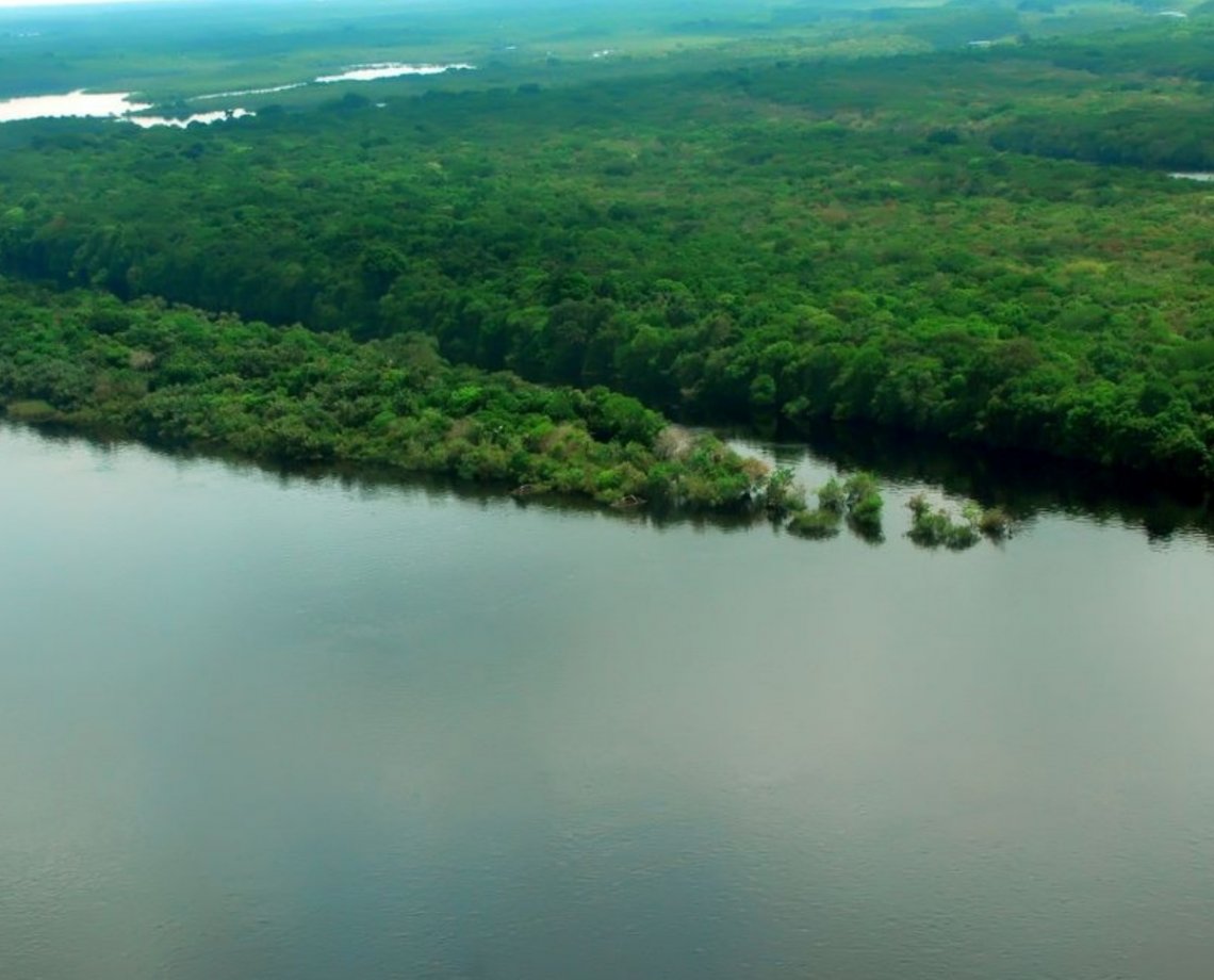 Levantamento aponta que apenas 7% dos rios da Mata Atlântica apresentam água de boa qualidade