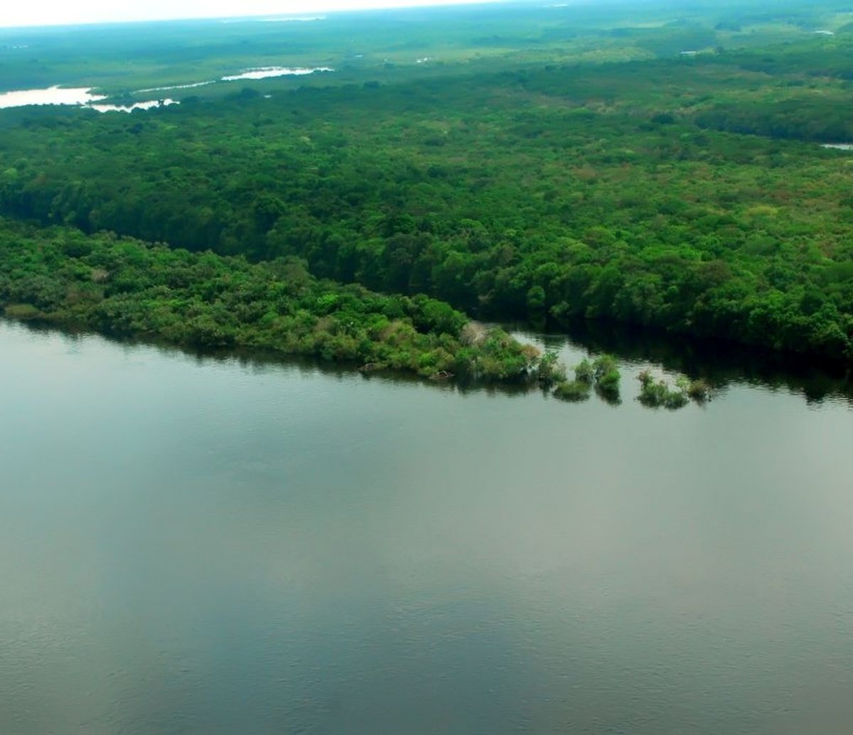 Levantamento aponta que apenas 7% dos rios da Mata Atlântica apresentam água de boa qualidade