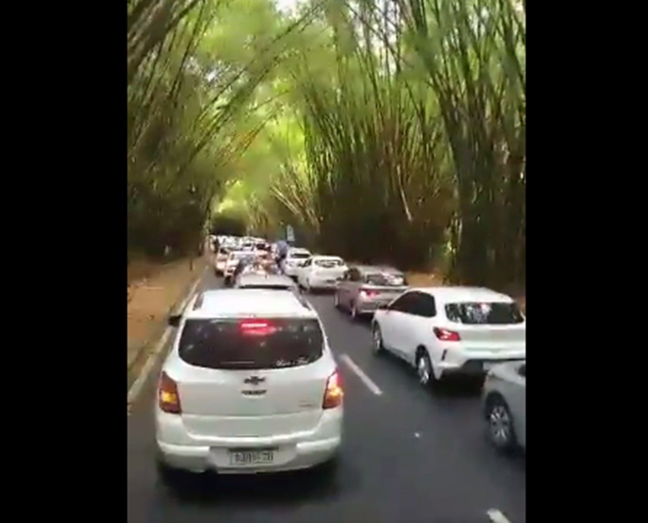 Parou tudo! Motoristas de transporte por aplicativo fecham entrada do Aeroporto de Salvador em protesto; veja vídeo