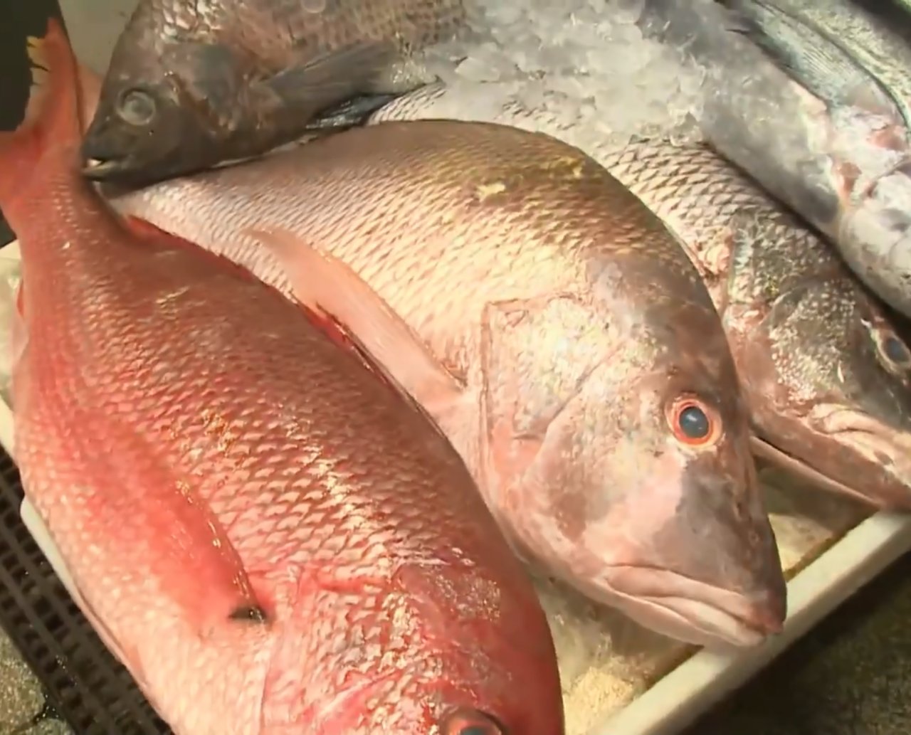 Pesquisa de preço: a um mês da Semana Santa, procura e preços de pescados começa a crescer