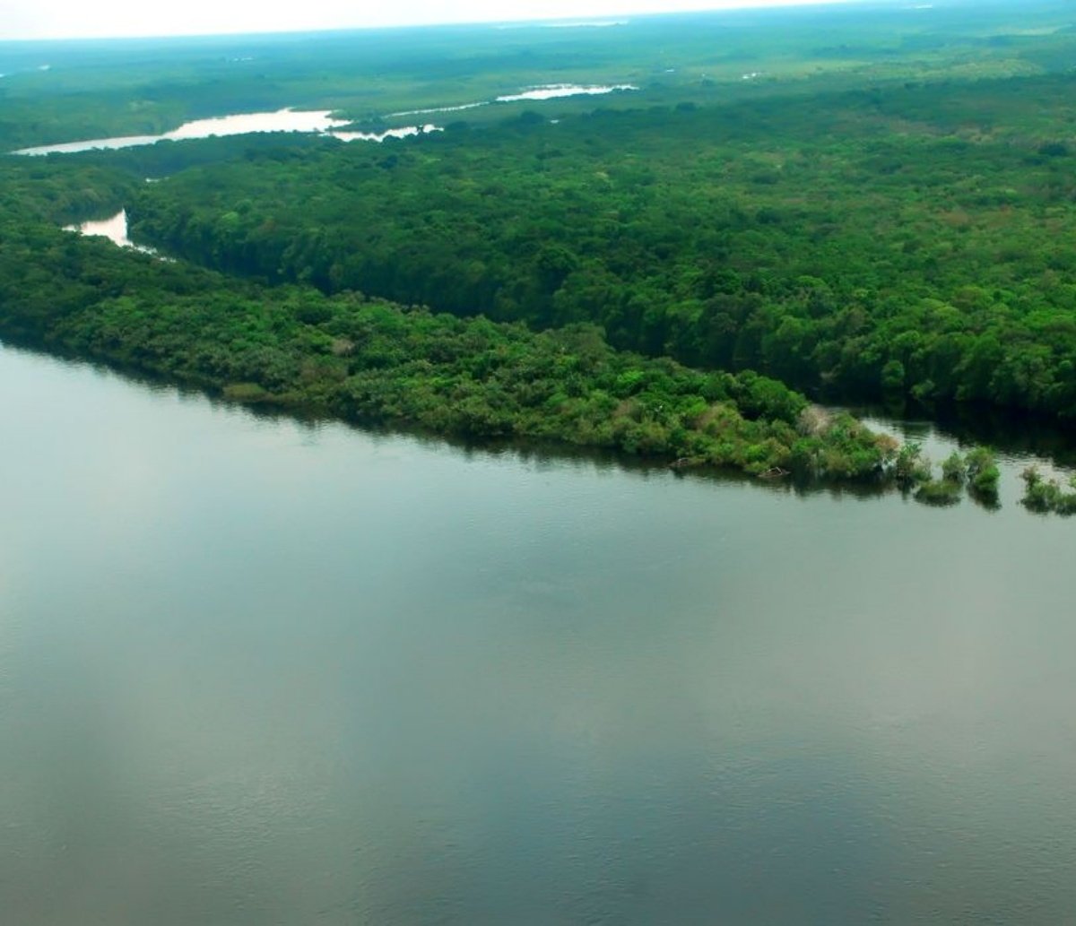 Governo lança operação contra o desmatamento e queimadas ilegais na Amazônia