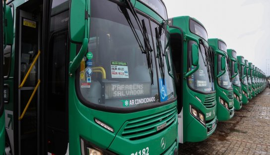 Novas linhas circulares para estações Flamboyant e Tamburugy começam a operar a partir de segunda; saiba mais