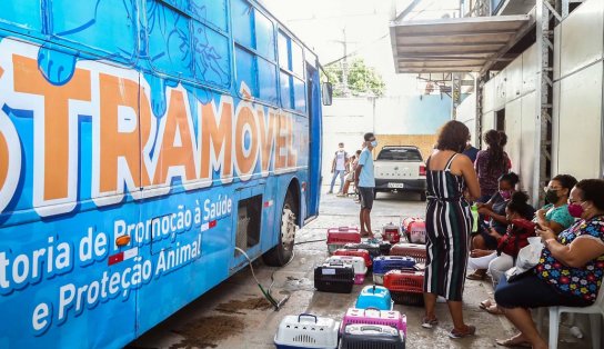 Castramóvel estaciona no Vale da Muriçoca durante a semana; saiba como agendar a castração do seu pet